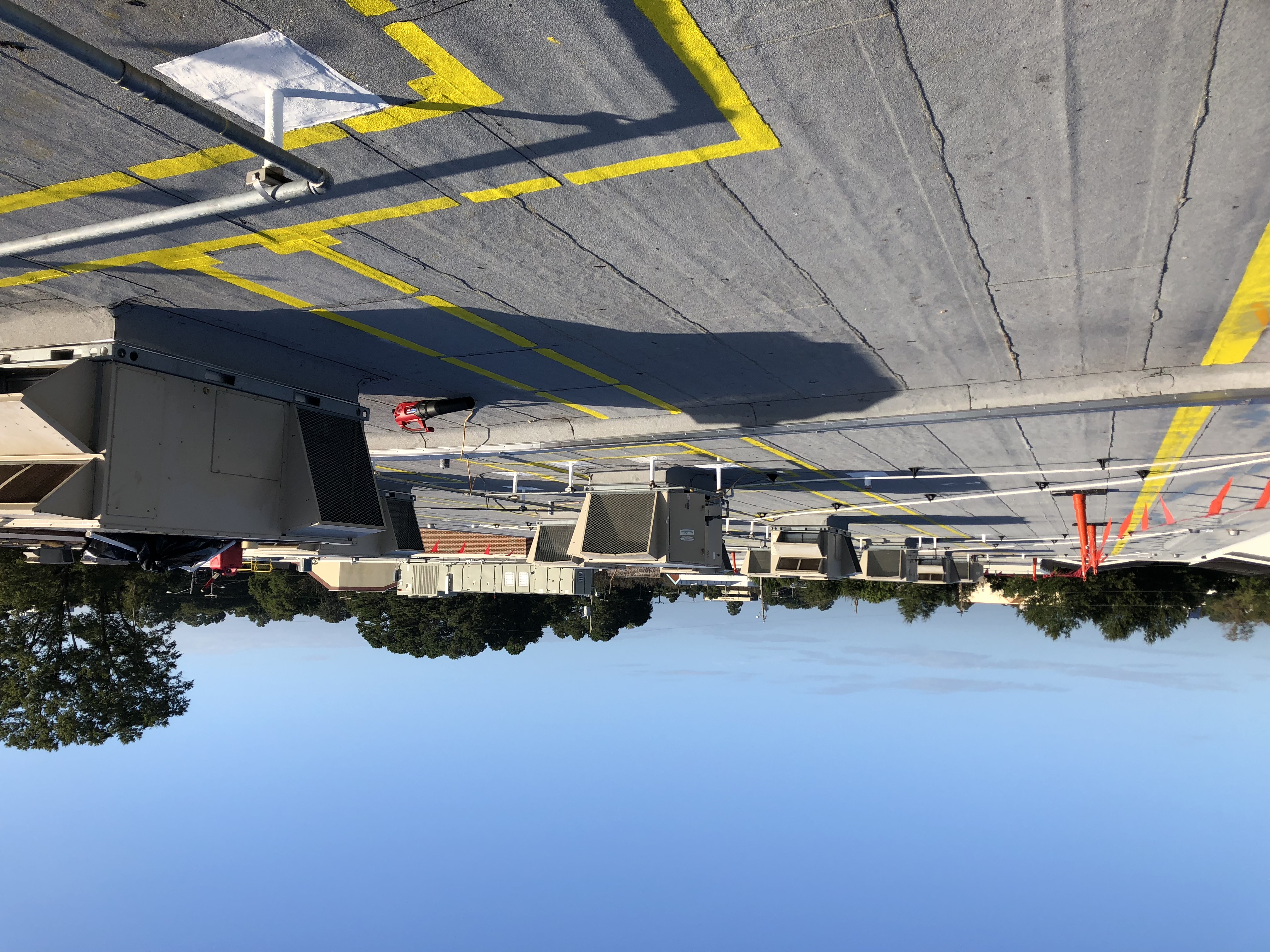 IMG_2962 B.M. Williams Primary School